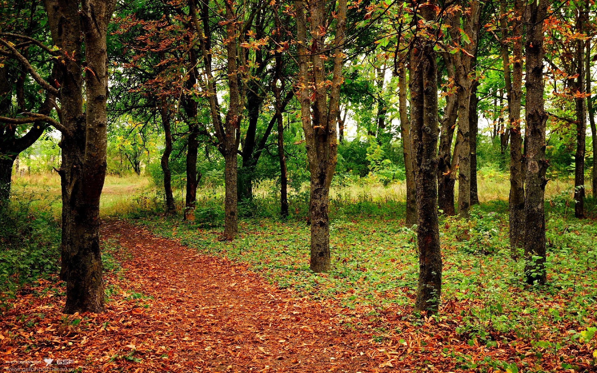 中国足协发布裁判职业化推进计划，足协裁判部