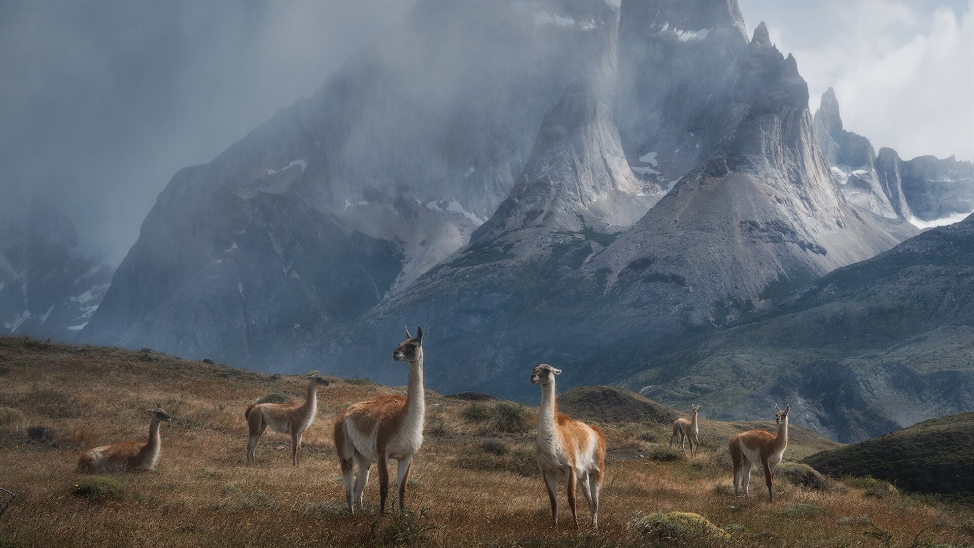 失误包袱：上海队多达20次失误，未能逆转战局！，上海队队员名单