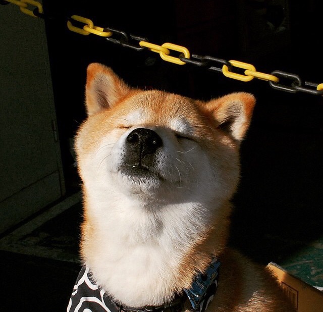 _极限漂流挑战赛：勇者的水上冒险之旅_，极限漂移之旅