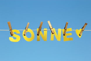 开云网页版-体育新闻中心公告全国夏季赛事气象应急预案，赛事应急预案模板